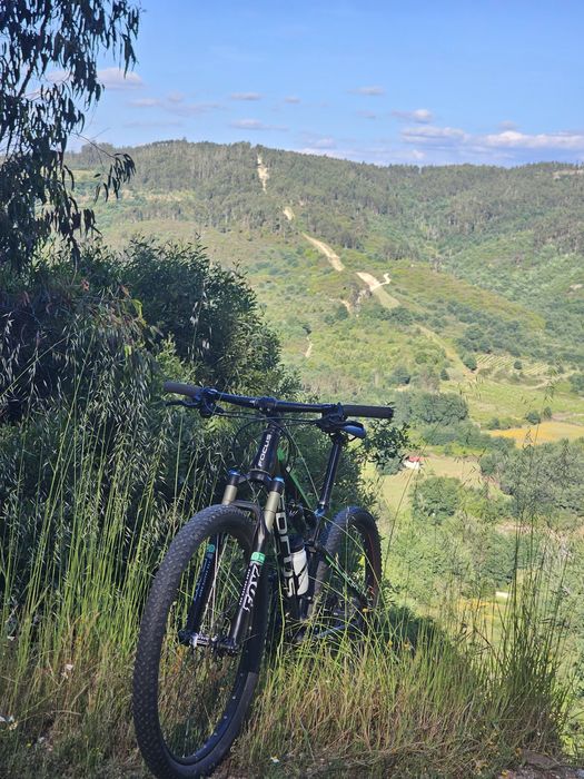 Bicicleta Focus Sud Fox total R 29
