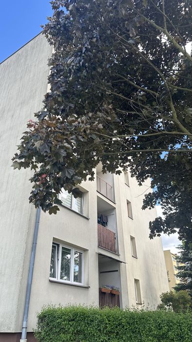 Mieszkanie Flagówka Libiąż 36,5 m² – pohled 3