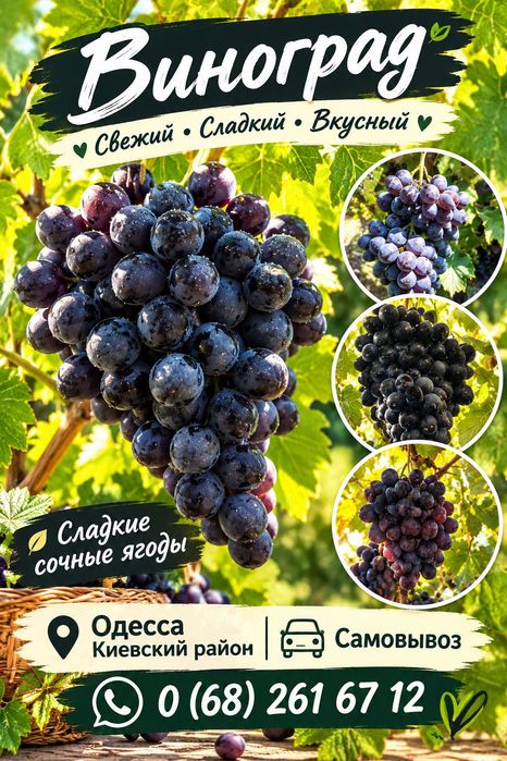 Продам Виноград