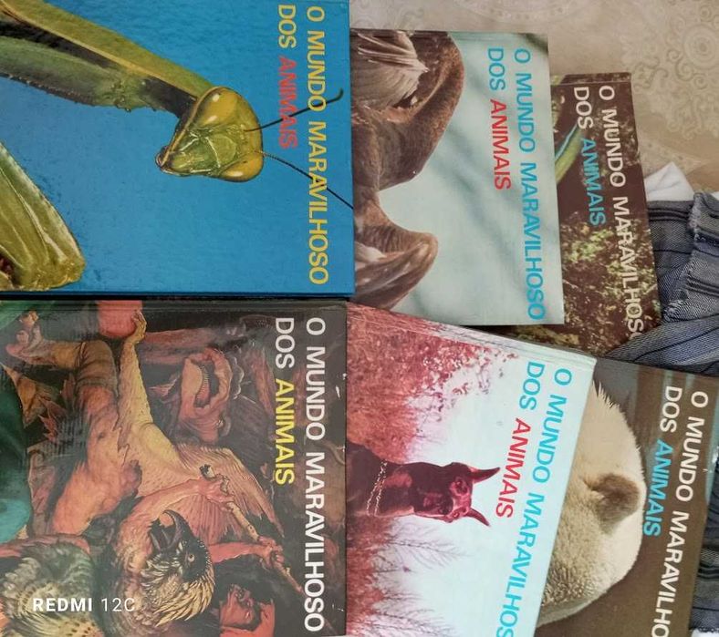 O Maravilhoso Mundo Dos Animais