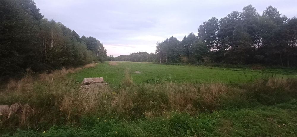 Zdjęcie 2