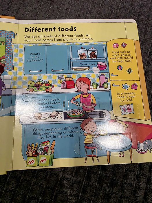 Book Usborn, look inside Food