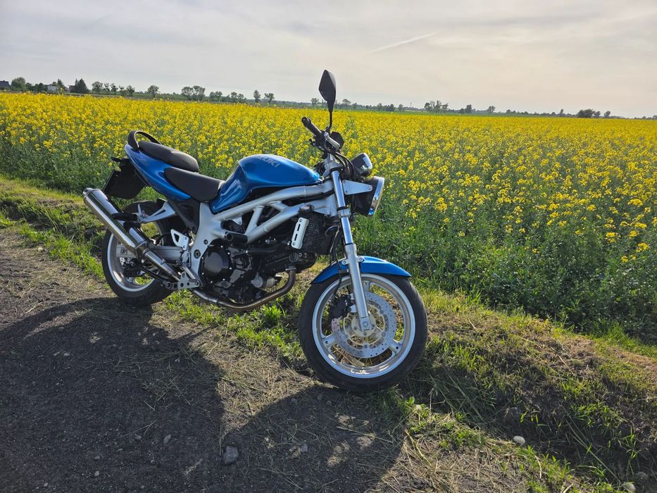 Suzuki SV Suzuki SV 650 | Stan bardzo dobry | 24700km