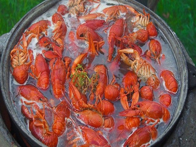 ВАРЕНІ РАКИ ДНІПРО риба креветки таранька таранка тарань лящ щука