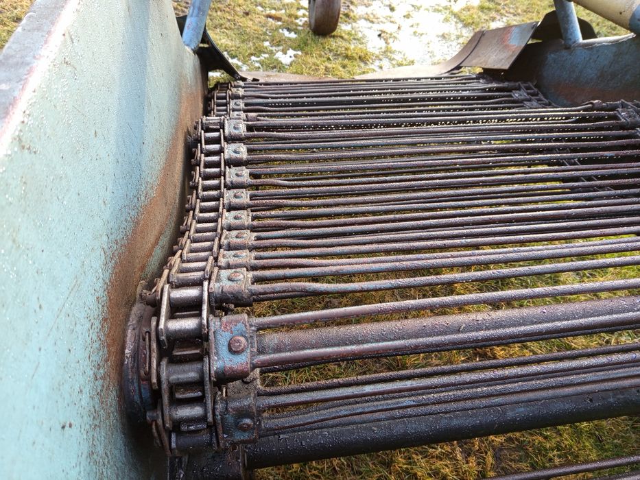 Ziemniaki warzywa chrzan cebula kopaczka