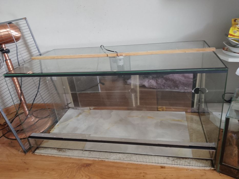 Sprzedam terrarium