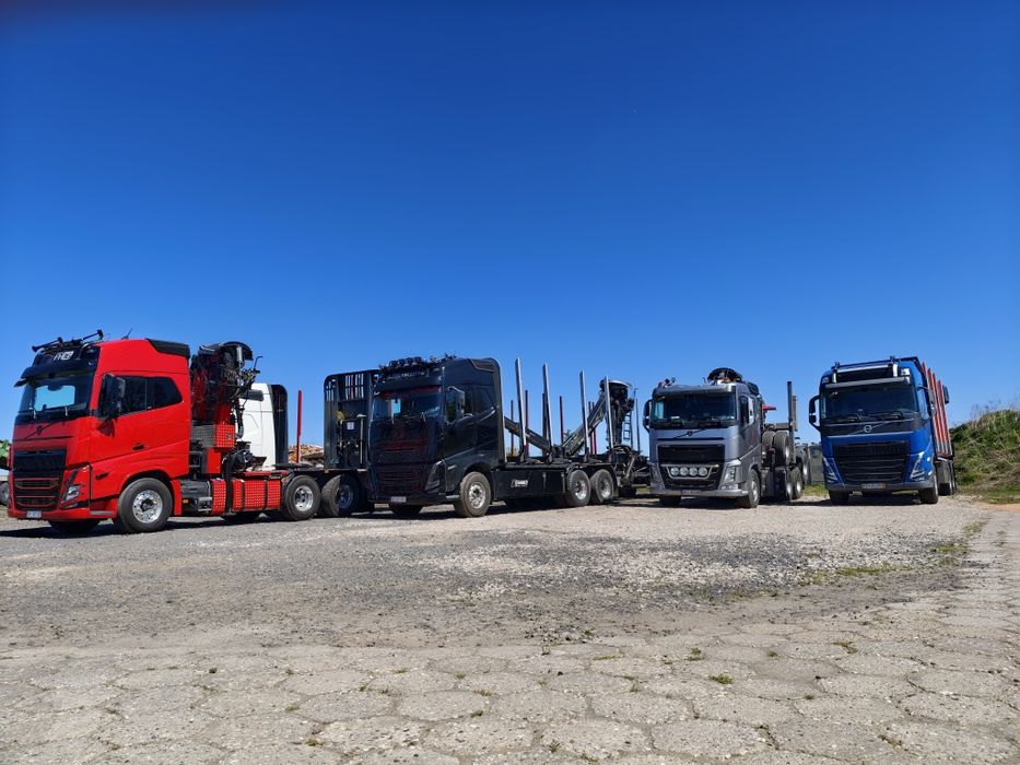transport drewna hds dłóżyca kłoda Niemcy Czechy
