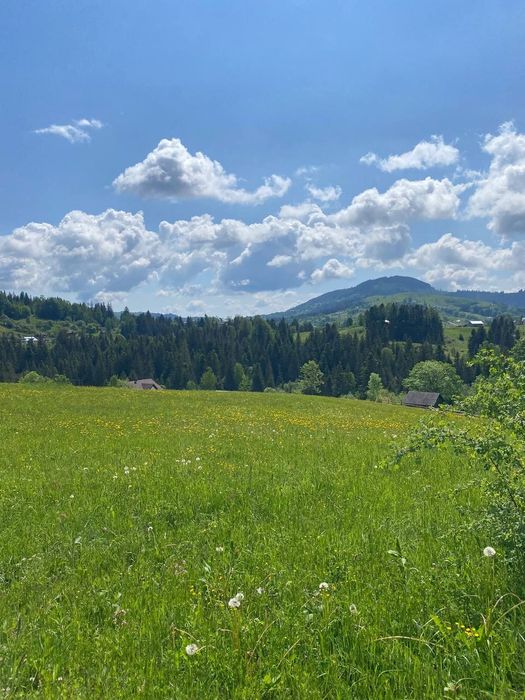 Продається земельна ділянка в Карпатах в с.Яворів - View 2