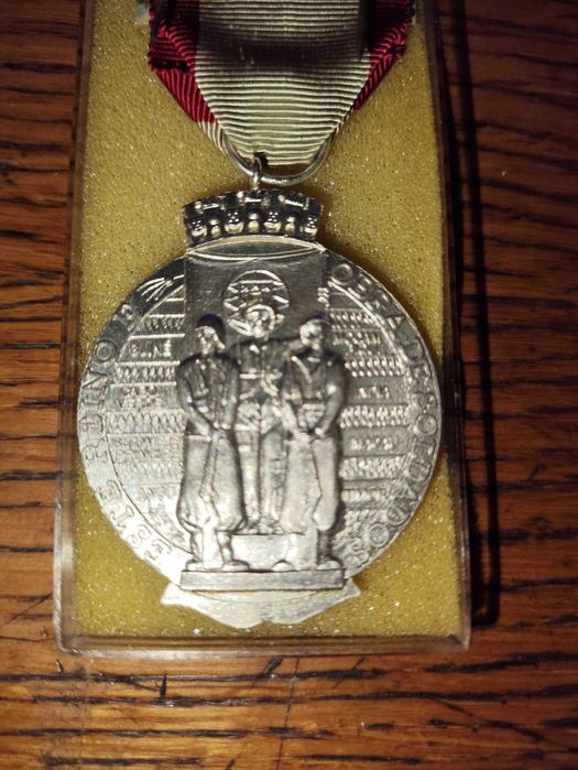 Medalha Comemorativa  Campanhas e Comissões de Serviços Especiais 1975