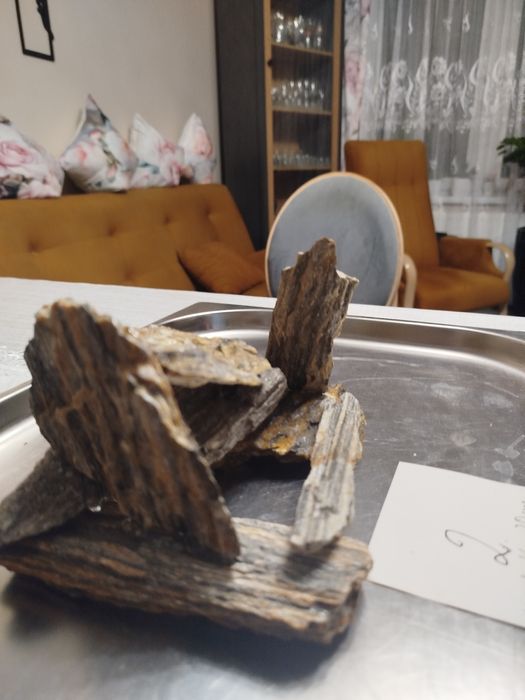 Sprzedam kompozycję do akwarium