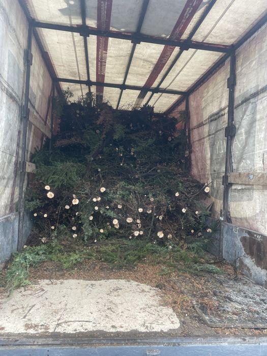 Вивіз будівельного сміття гілок старої меблі