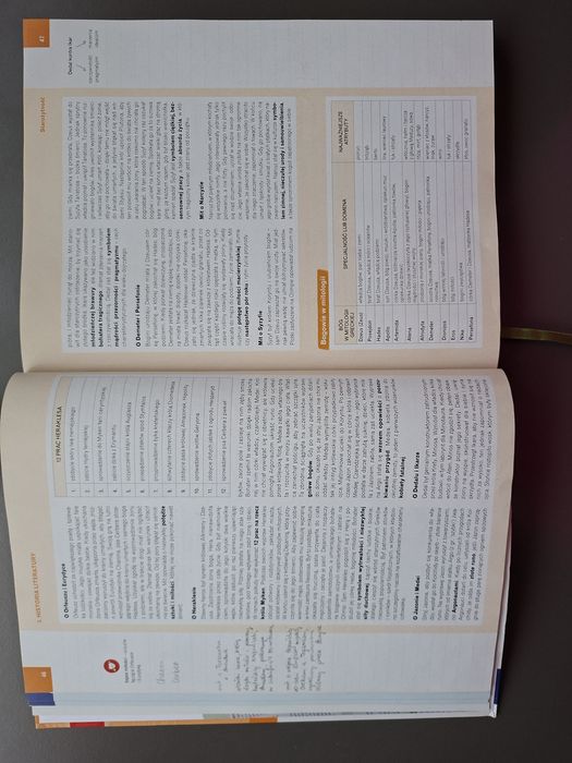 vademecum Nowa Teraz Matura Język polski