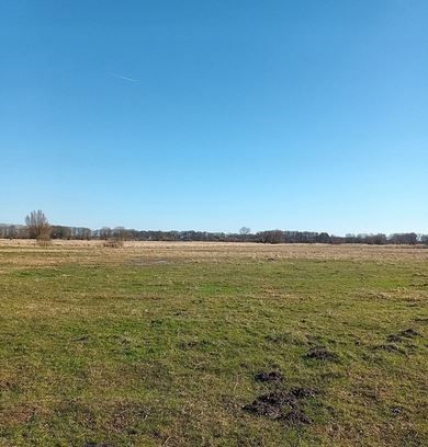 Działka rolna łąki 2,2616 ha Kodrąb wyspa Wolin - Widok 3