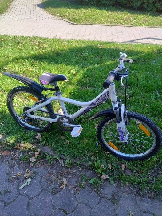 Giant taffy 20 bdb stan