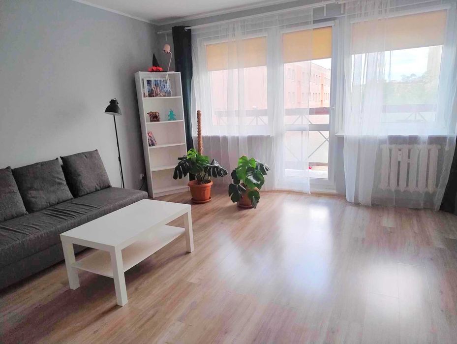 Pokój w Szczecinie na prawobrzeżu do wynajęcia dla Pani