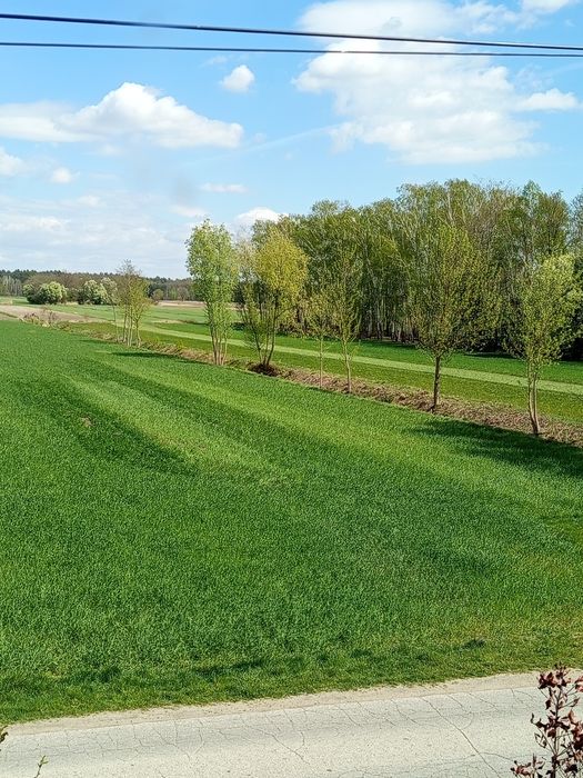 Działki  Budowlane z warunkami zabudowy zagrodowej