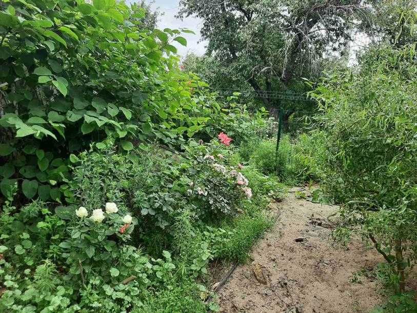 Продам цілий будинок Баварія (Бавария)