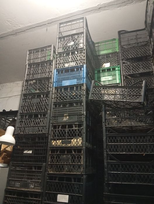 Продам пластиковые ящики, для овощей и фруктов, разных размеров