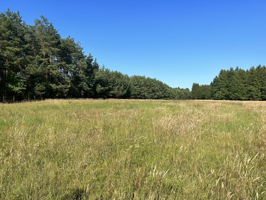 Warunki zabudowy działka budowlana ok 1200m2 Rozłazino koło lasu cisza