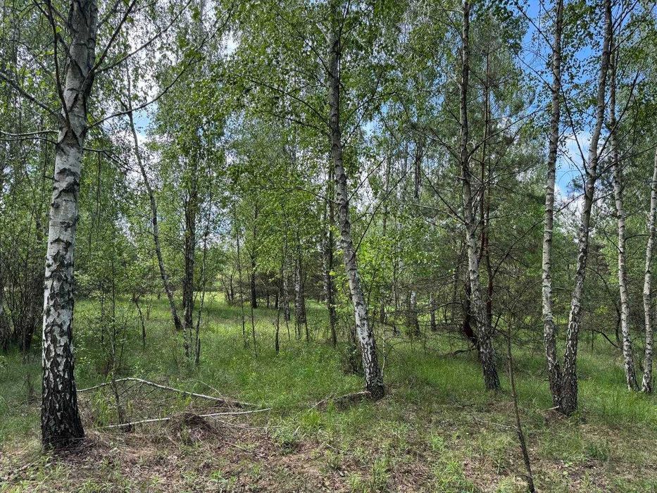 Земля серед лісу для прекрасного життя! 20хв до Києва! 4100$