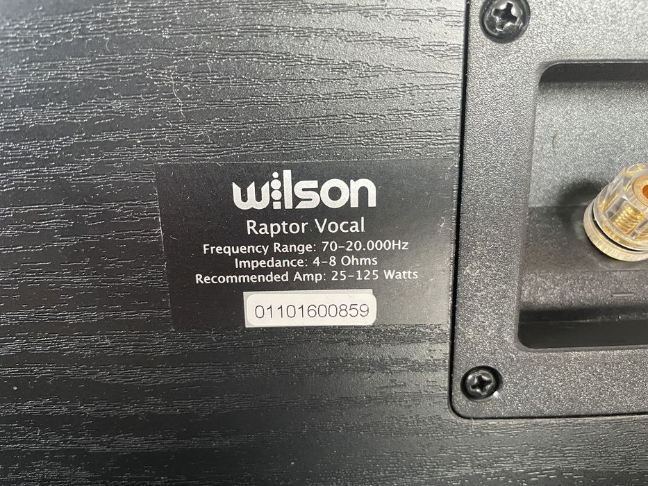 Kolumny Wilson Raptor Poznań Winogrady • OLX.pl