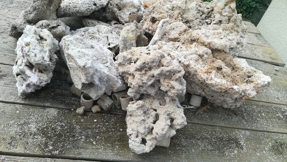 Skała koralowa do morskiego akwarium