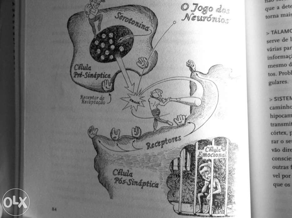 You - manual de instruções michael f. roizen, mehmet oz
