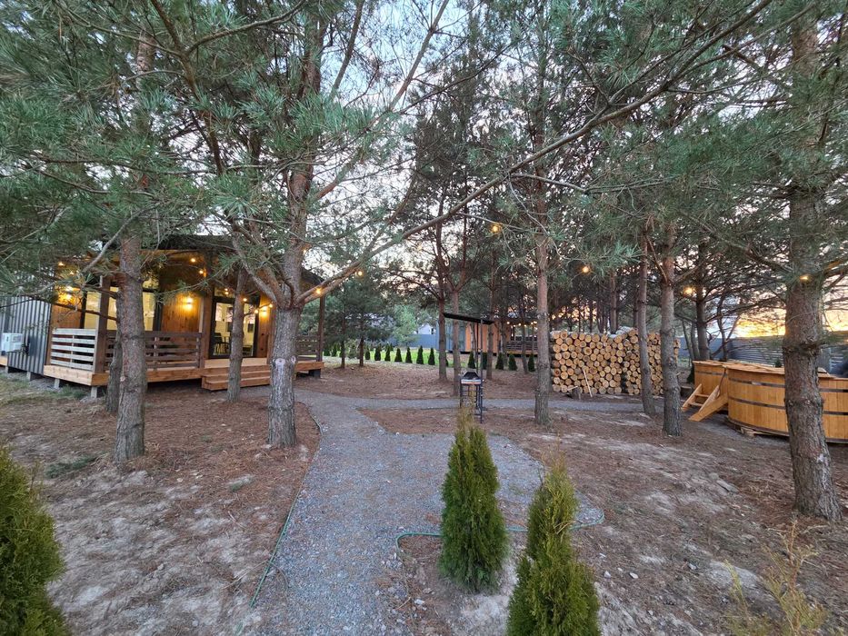 Котедж у сосновому лісі під Києвом. Камін. Вініл. Чан. Баня