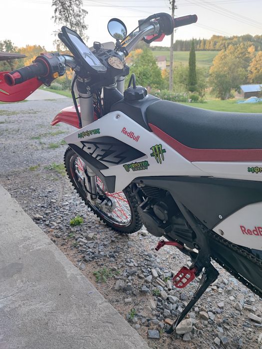 Cross Lizzard RFZ 250