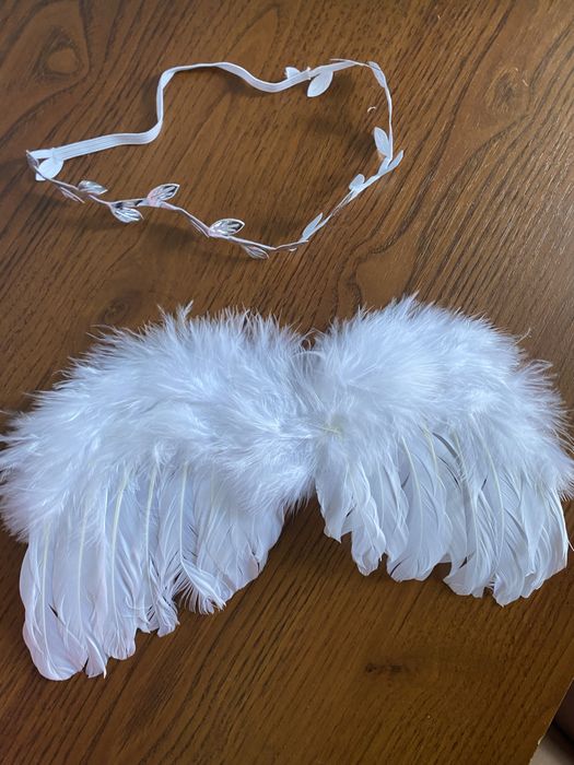 Крила і обідочок на голову