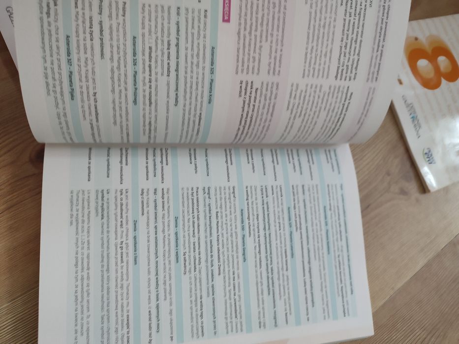 Egzamin ósmoklasisty repetytorium język polski