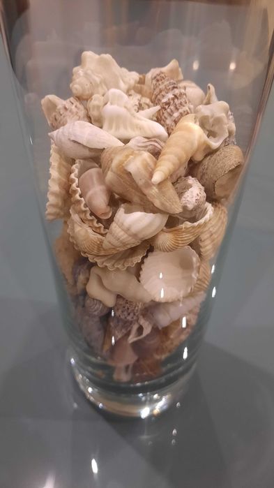Jarra em vidro decorativa com conchas e búzios diversos incluídos