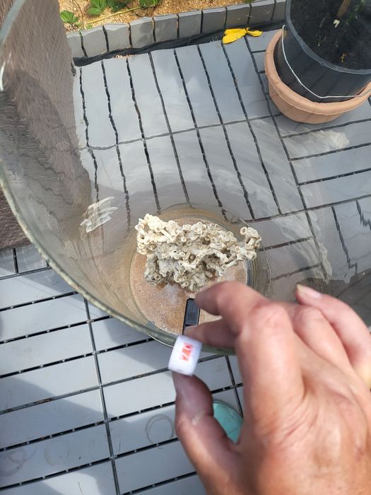 NOWA NIŻSZA CENA Akwarium tuba 70 cm