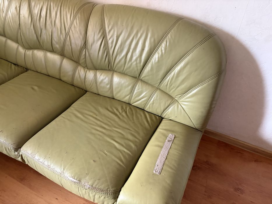 Kanapa rogowa zielona