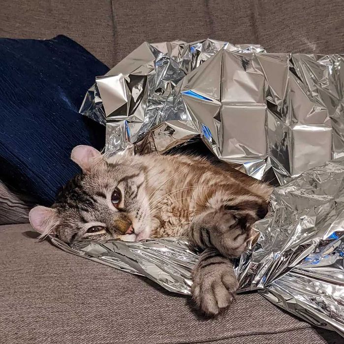 Спасательное одеяло покрывало термоодеяло из майлара