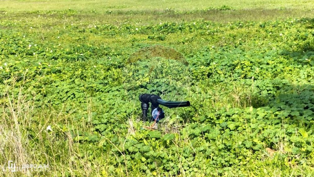 Terreno  para venda