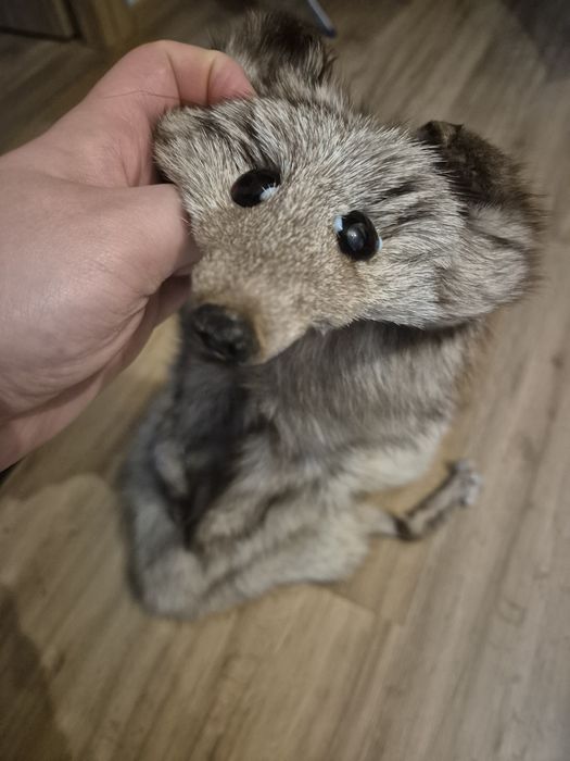 Szal z lisa prawdziwy