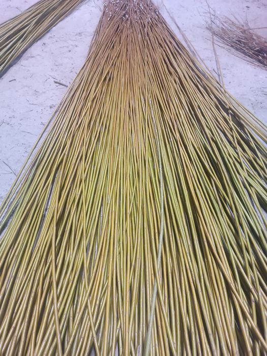 Іва,івовий прут,лоза для декоративно плетіння,вербовий прут