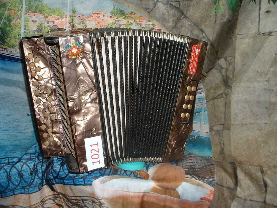 Concertina para venda N, 1021