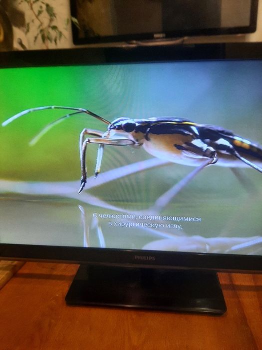 Телевизор Филипс 40 PFL 9705 и 26 PFL 4007