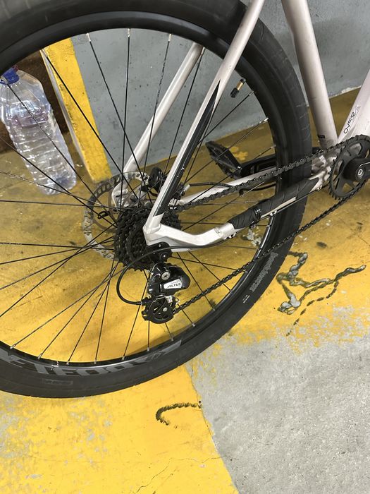 Coluer Pragma 297- Wheelie