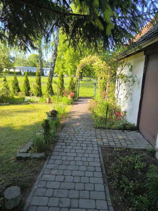 Ogród działkowy ul. Grochowska
