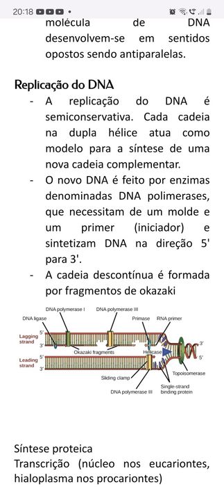 Resumo  Biologia 10.º/11.⁰