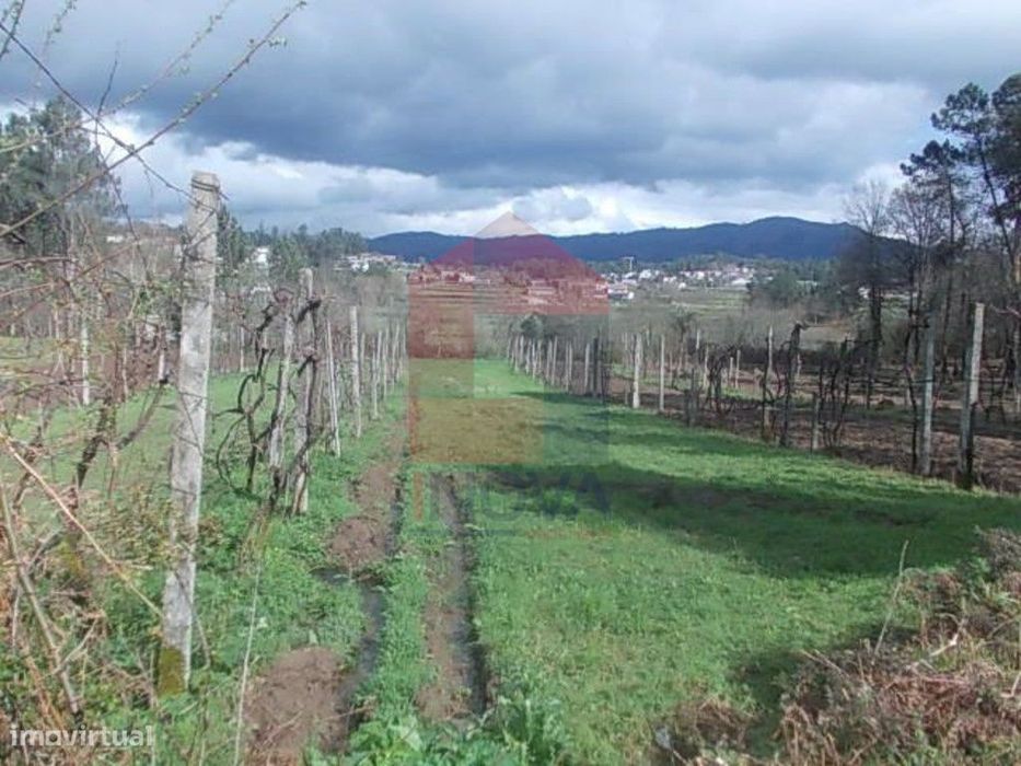 Terreno, Gême