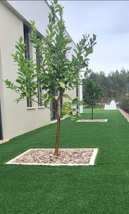 Jardinagem construção e manutenção