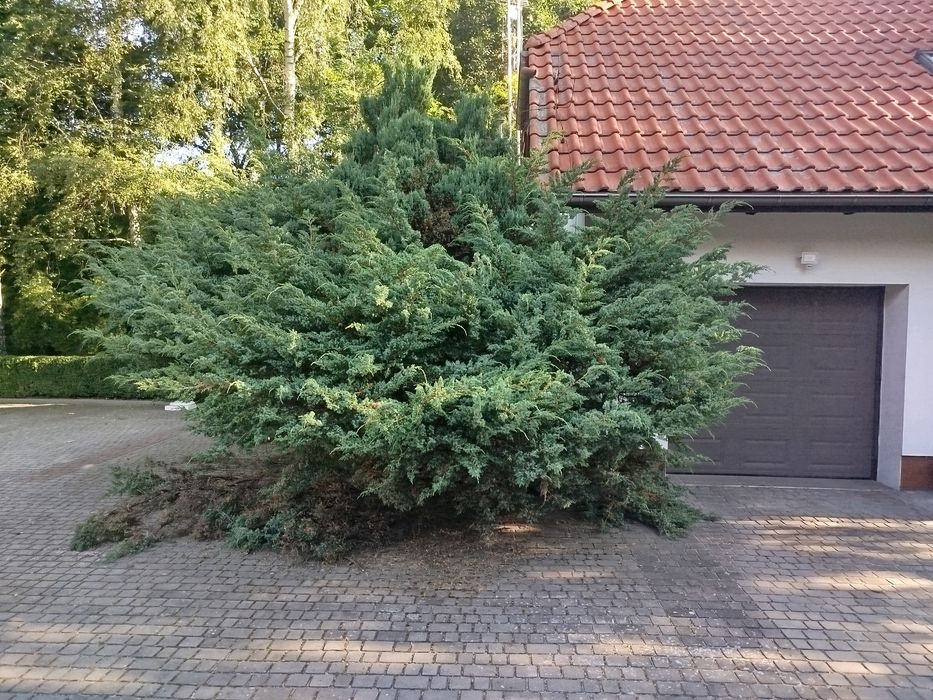 Pielęgnacja ogrodu