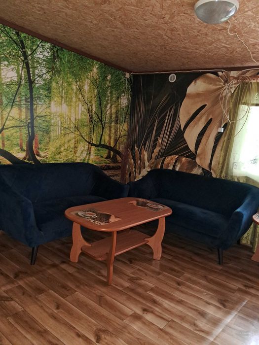 Domek na działce