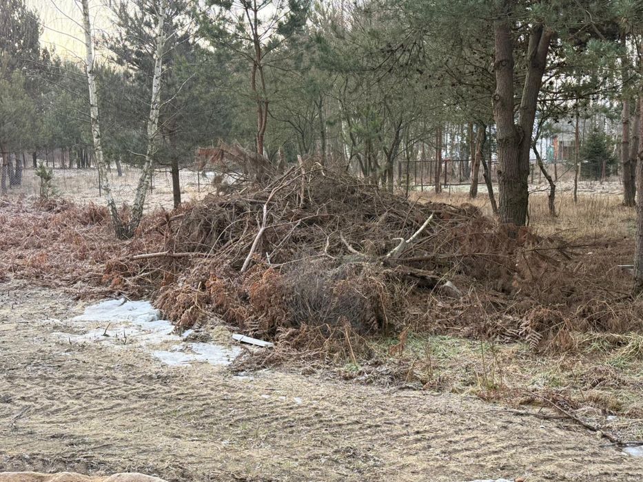 Oddam drewno po budowie i gałęzie