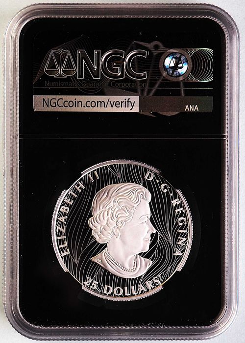 Moeda Prata 2021 $25 Canada Buffalo 1 oz NGC PF70 UC alto relevo