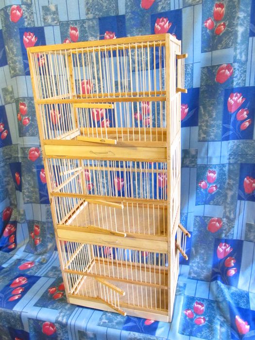 Клетка для содержания и разведения птиц